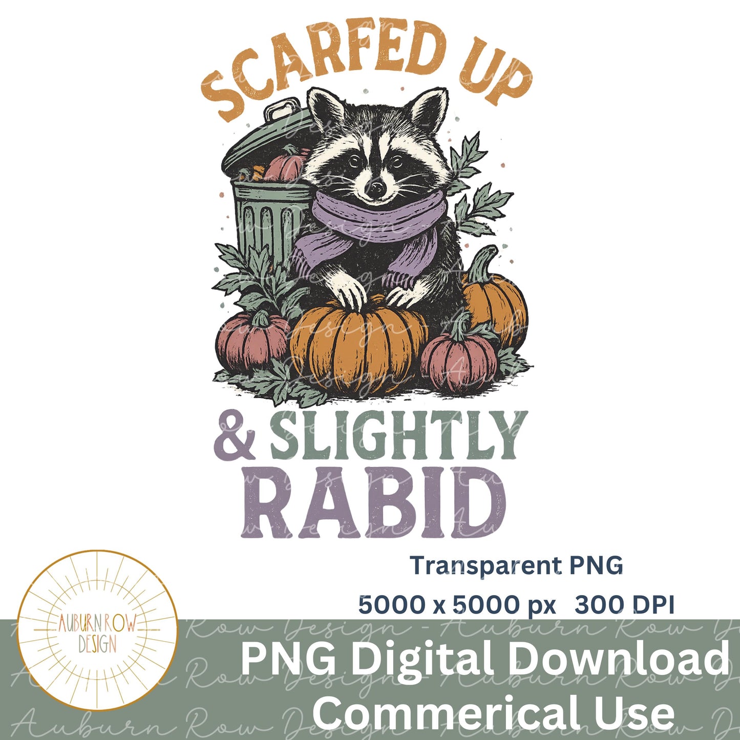 Scarfed Up Raccoon Pumpkin Fall Graphic Transparent PNG Digital Download Commercial Use
