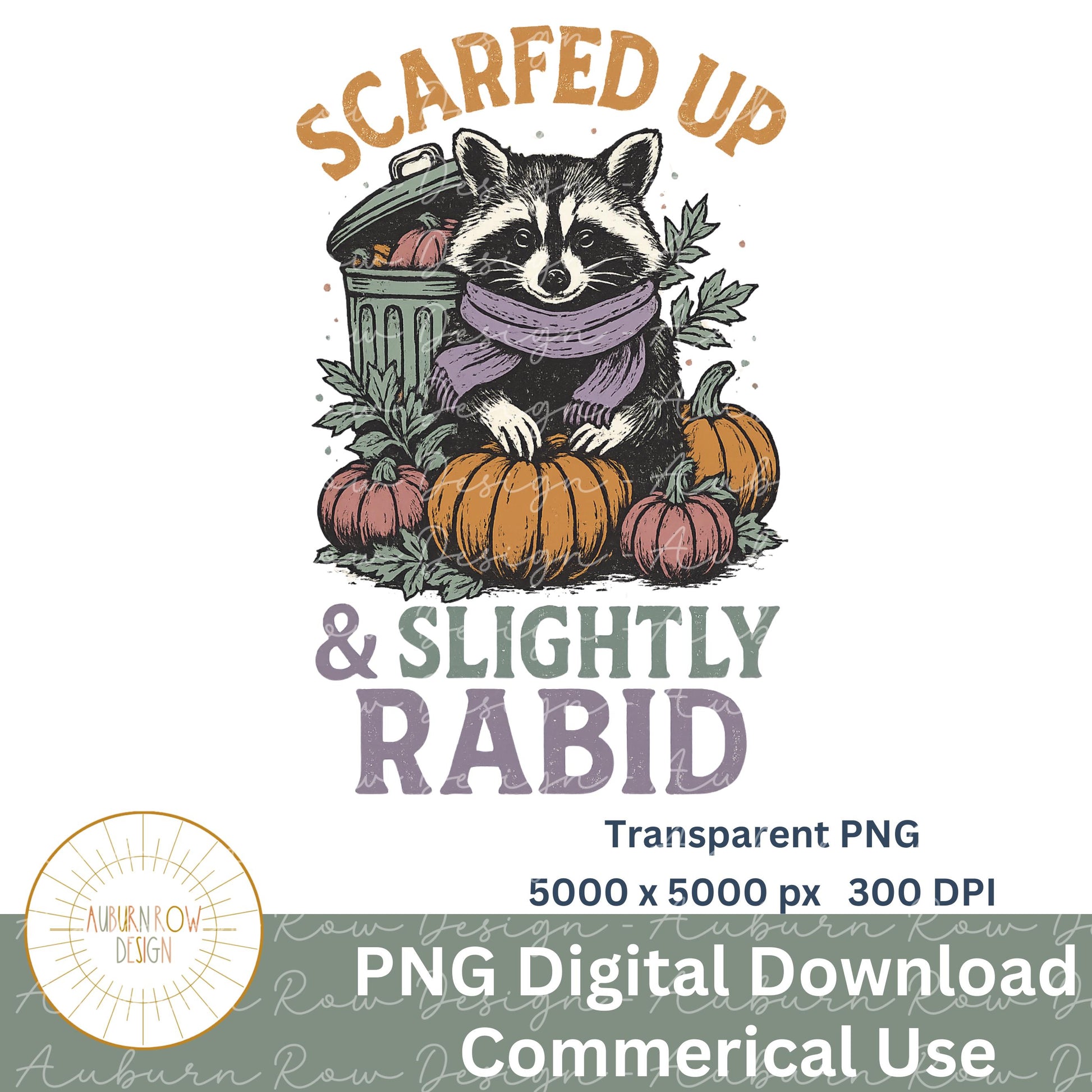 Scarfed Up Raccoon Pumpkin Fall Graphic Transparent PNG Digital Download Commercial Use